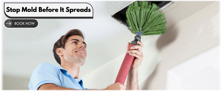 Air Duct Mold Removal in Pomona CA